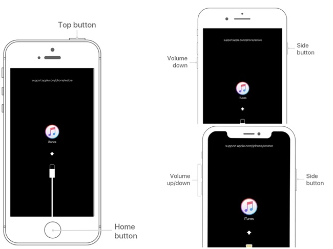 Ios 27 Beta Stuck on Black Screen