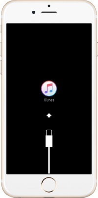 Iphone Rainbow Screen of Death