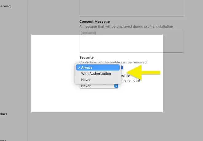 How to Block Websites on Ipad