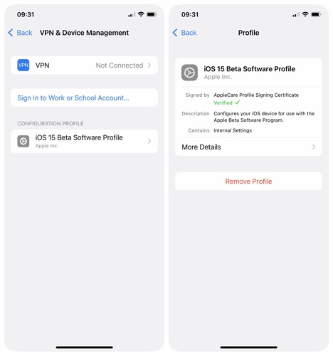 Ios 27 Beta Not Showing Up