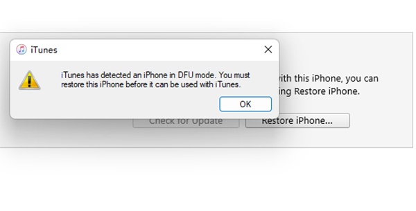 Iphone Rainbow Screen of Death