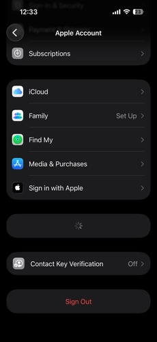 Ios 27 Beta Unable to Check for Update