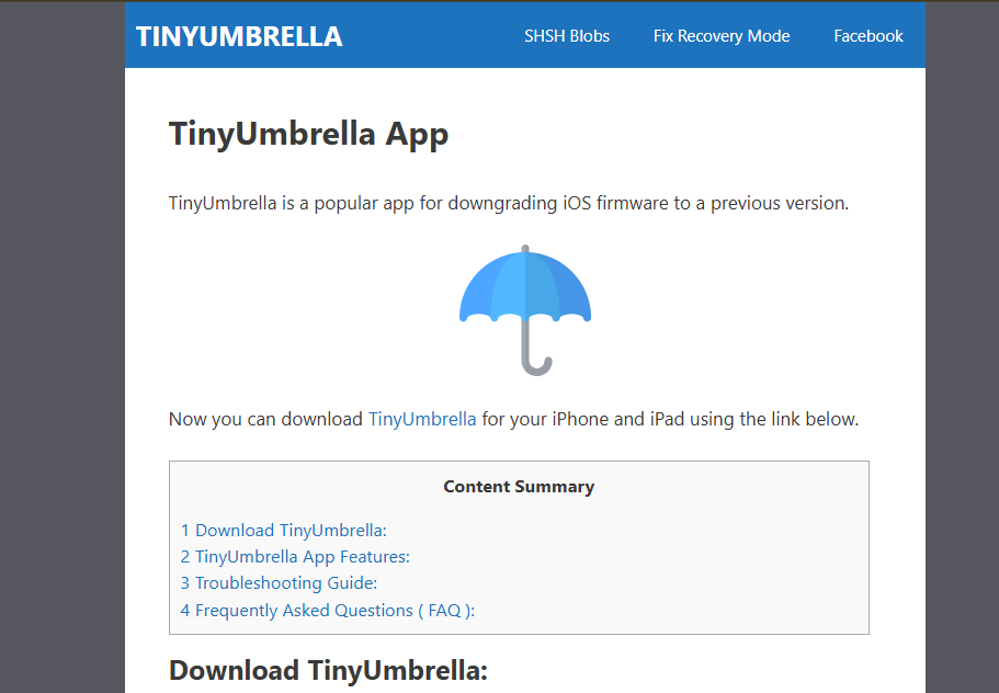 TinyUmbrella interface