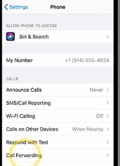 Call Forwarding