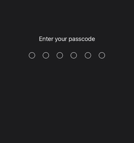 enter-your-passcode