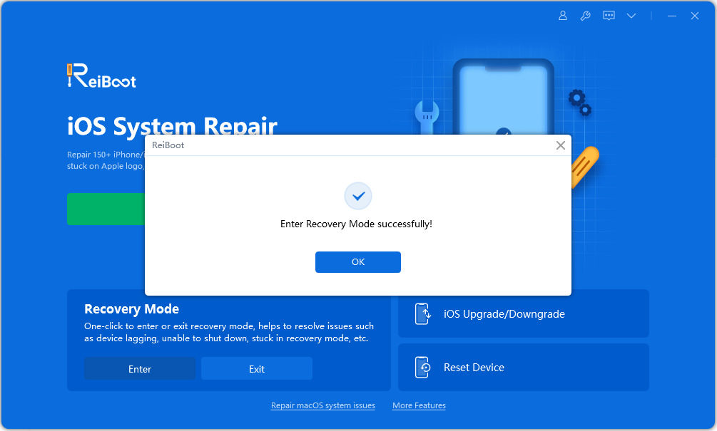 Successfully entered recovery mode