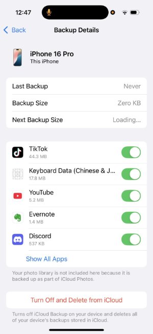 turn off and delete from icloud